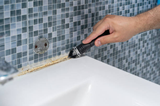 Reliable Quincy, MI Mold Remediation Solutions