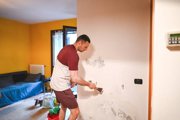 Trusted Quincy, MI Mold Remediation Experts